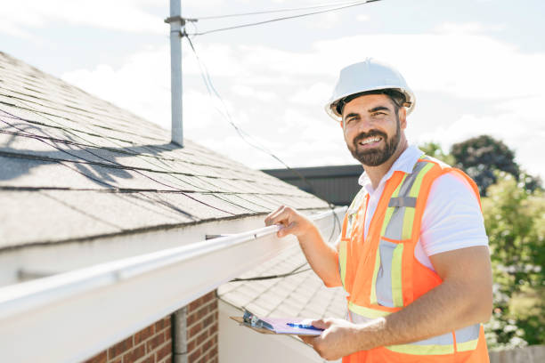 Best Roof Gutter Cleaning  in Johnsburg, IL