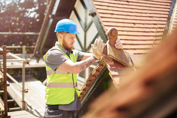 Best Flat Roof Repair Services  in Johnsburg, IL