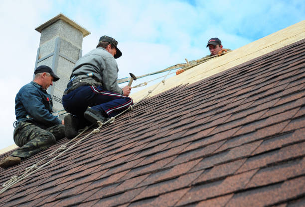 Best Roof Maintenance Services  in Johnsburg, IL