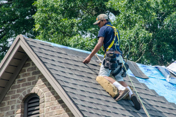 Best Gutter Installation and Roofing  in Johnsburg, IL